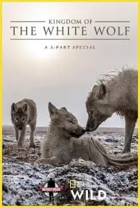 Королевство белого волка (сериал 2019)